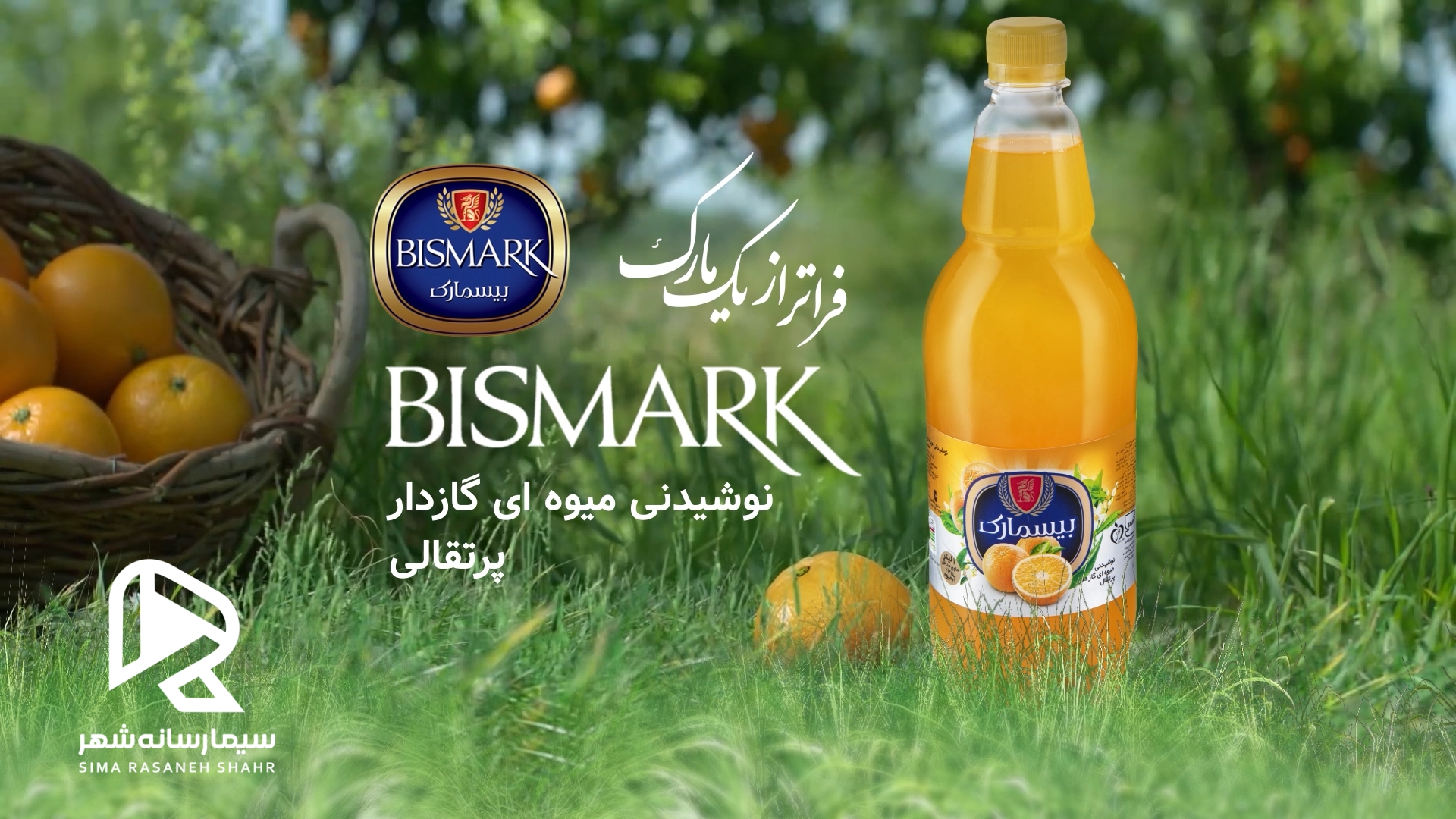 بیسمارک